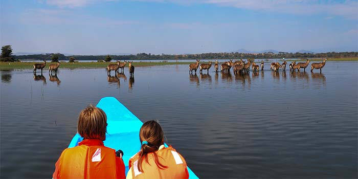Lake Naivasha Educational Tour